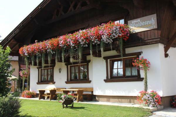 Waldesruh Apartment Нийдертай Екстериор снимка